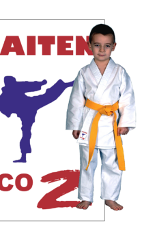Kaiten Eco2