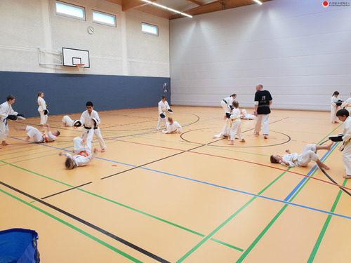 20190126_102237.jpg