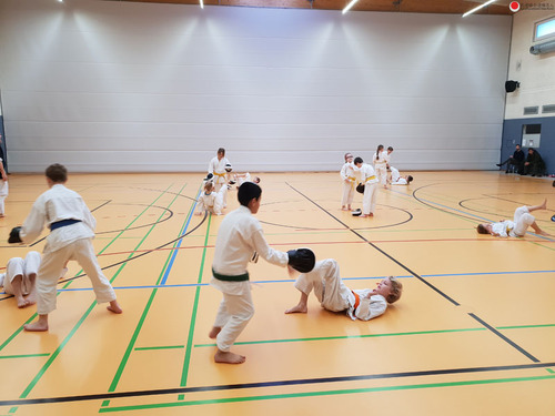 20190126_102249.jpg