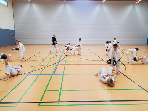 20190126_102252.jpg