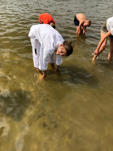 IMG-20190803-WA0113.jpg
