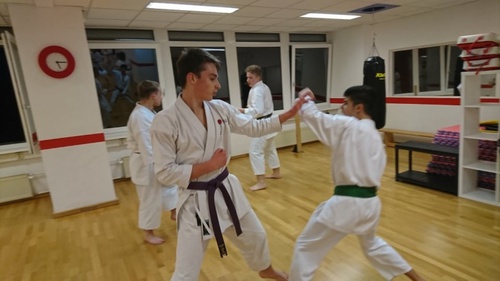 75223698_430476507666630_3179788692680081408_n.jpg