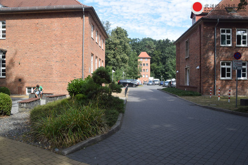 DSC_0065.jpg