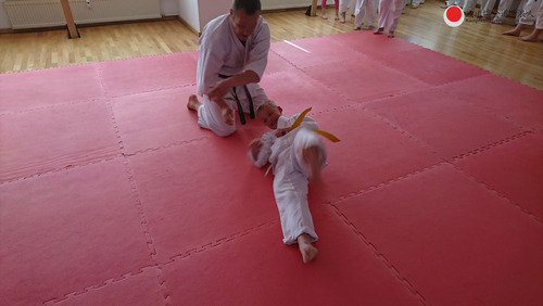 DSC_0356.jpg